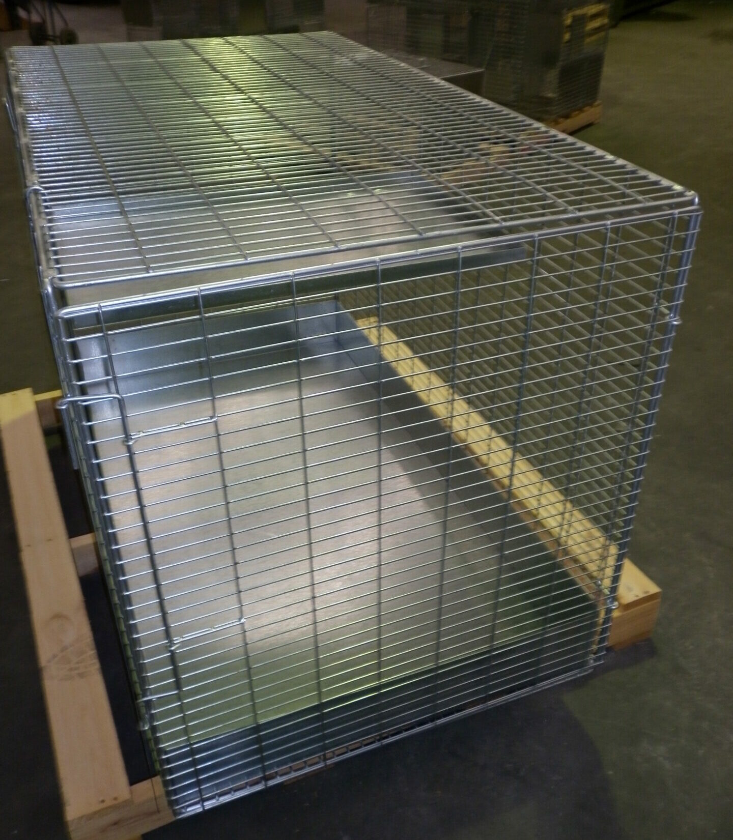 Detail image of Cat Holding Transition Cagefrom Automatic Wire